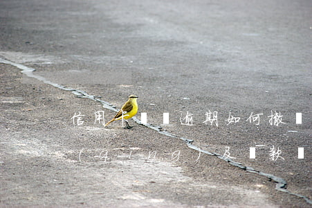 信用卡賬單逾期如何撤銷(xiāo)申請(qǐng)及還款？